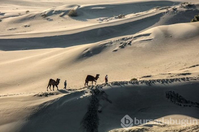 Mısır çölleri değil, Türkiye'nin Patara'sı!