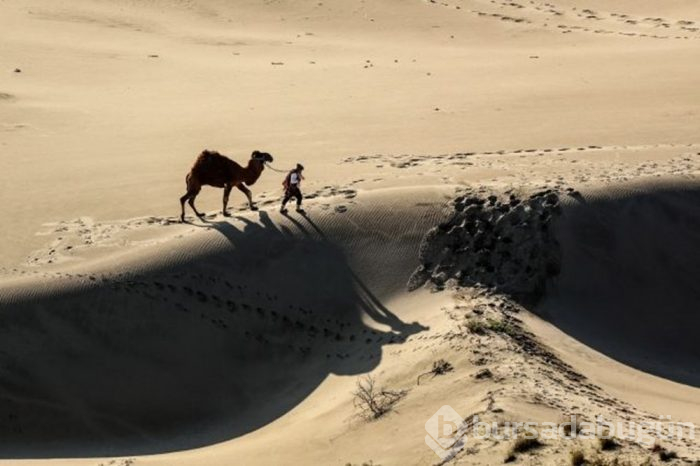 Mısır çölleri değil, Türkiye'nin Patara'sı!
