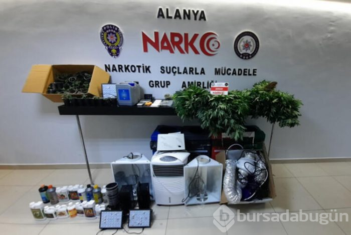 Lüks villa uyuşturucu serasına dönmüş!