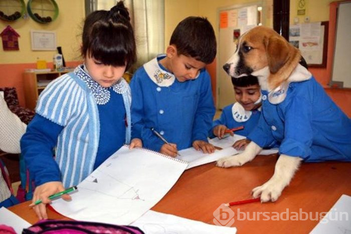 Fındık'ın okulunda hüzün yaşanıyor