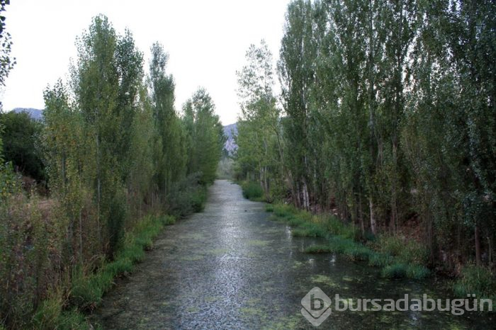 Kovada Gölü zehir saçıyor