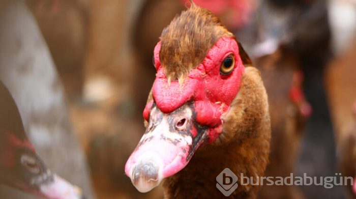 Hobi olarak başladı, siparişlere yetişemiyor!