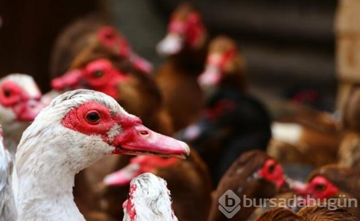 Hobi olarak başladı, siparişlere yetişemiyor!
