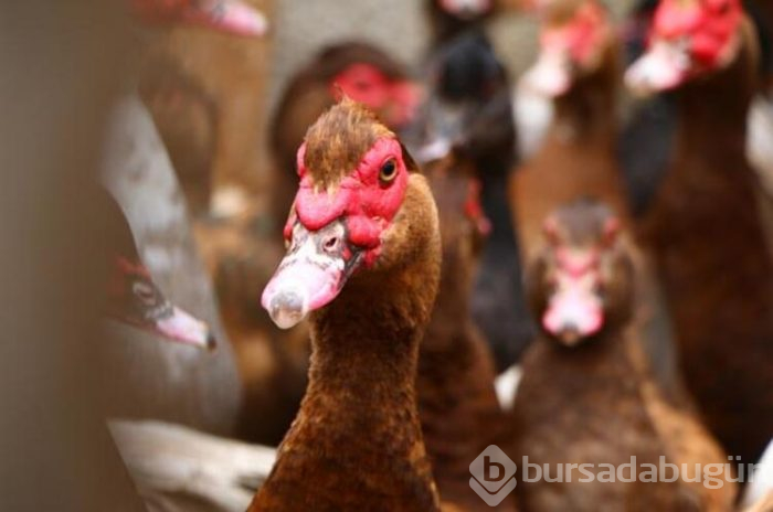 Hobi olarak başladı, siparişlere yetişemiyor!