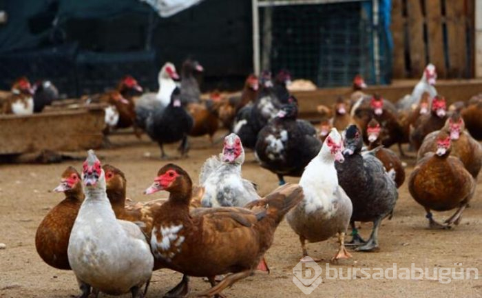 Hobi olarak başladı, siparişlere yetişemiyor!