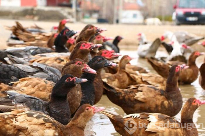 Hobi olarak başladı, siparişlere yetişemiyor!