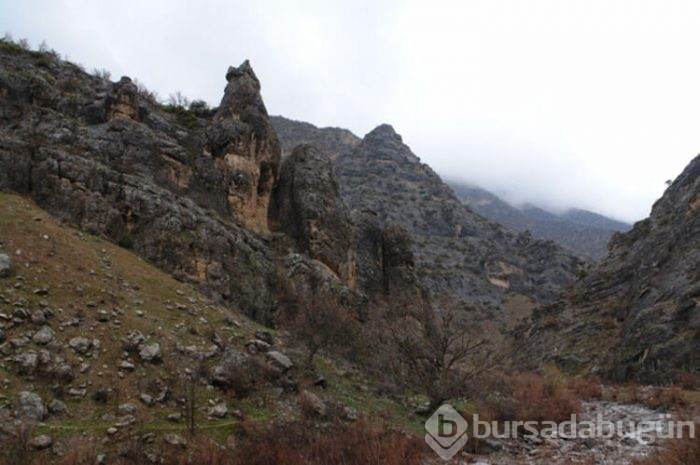 Bilim insanlarının gözü Hakkari'de