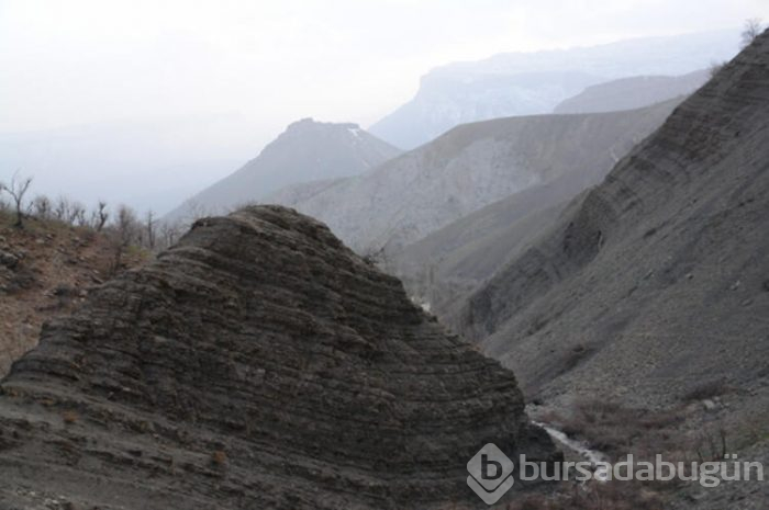 Bilim insanlarının gözü Hakkari'de