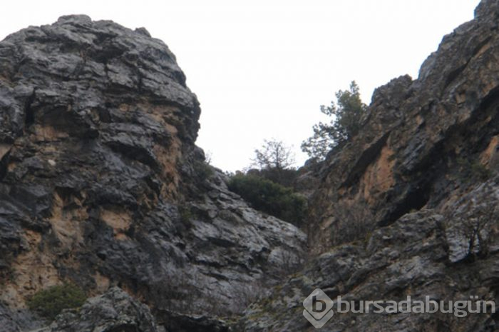 Bilim insanlarının gözü Hakkari'de