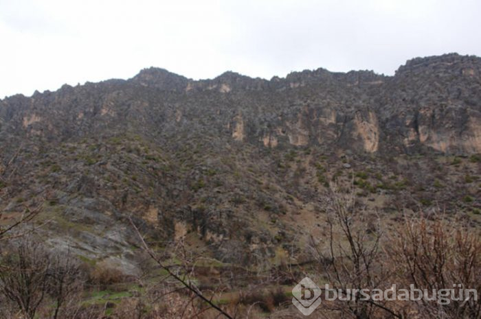 Bilim insanlarının gözü Hakkari'de