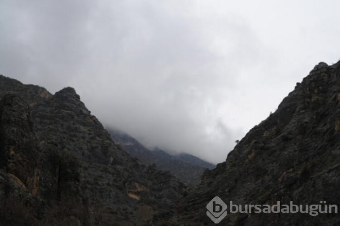 Bilim insanlarının gözü Hakkari'de