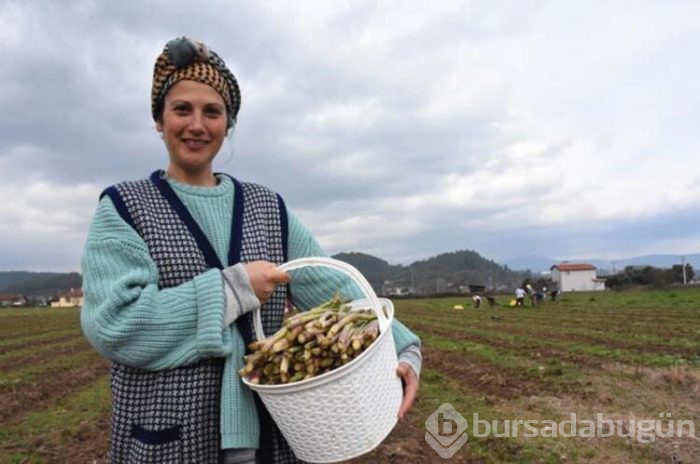 Üst düzey yöneticilik kariyerini bırakıp bakın hangi işe başladı