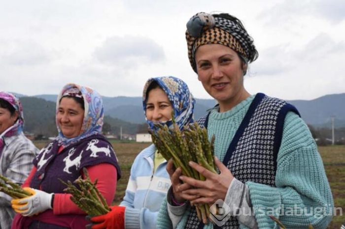 Üst düzey yöneticilik kariyerini bırakıp bakın hangi işe başladı