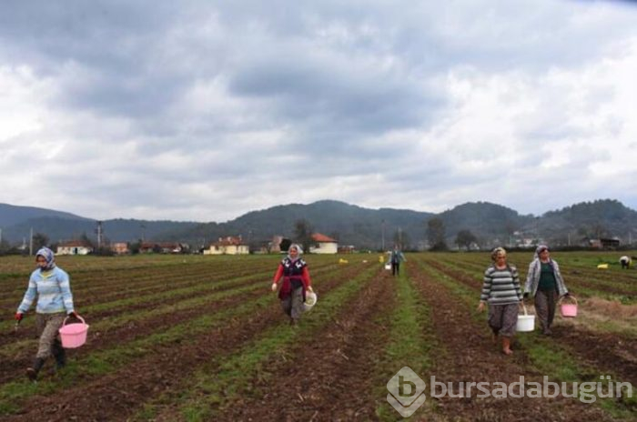 Üst düzey yöneticilik kariyerini bırakıp bakın hangi işe başladı