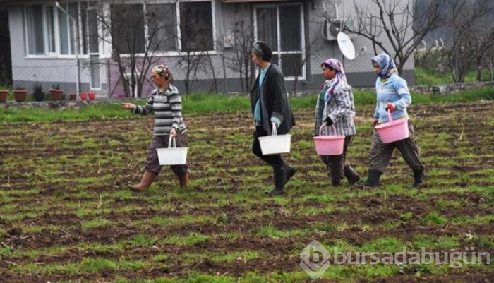 Üst düzey yöneticilik kariyerini bırakıp bakın hangi işe başladı