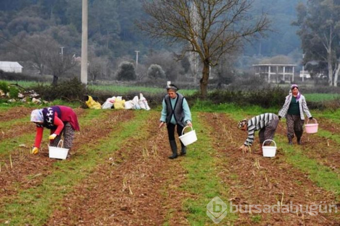 Üst düzey yöneticilik kariyerini bırakıp bakın hangi işe başladı