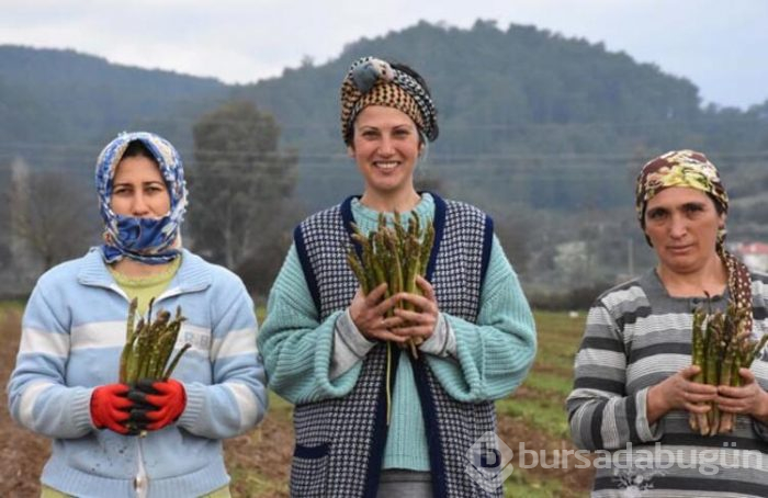 Üst düzey yöneticilik kariyerini bırakıp bakın hangi işe başladı