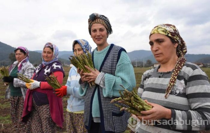 Üst düzey yöneticilik kariyerini bırakıp bakın hangi işe başladı