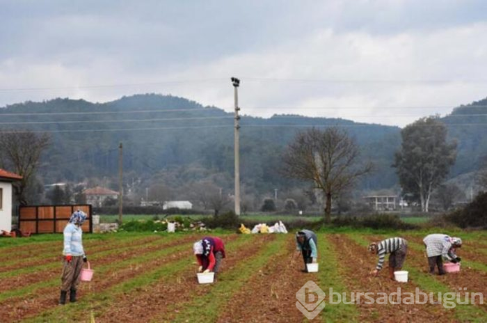 Üst düzey yöneticilik kariyerini bırakıp bakın hangi işe başladı