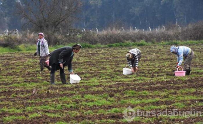 Üst düzey yöneticilik kariyerini bırakıp bakın hangi işe başladı