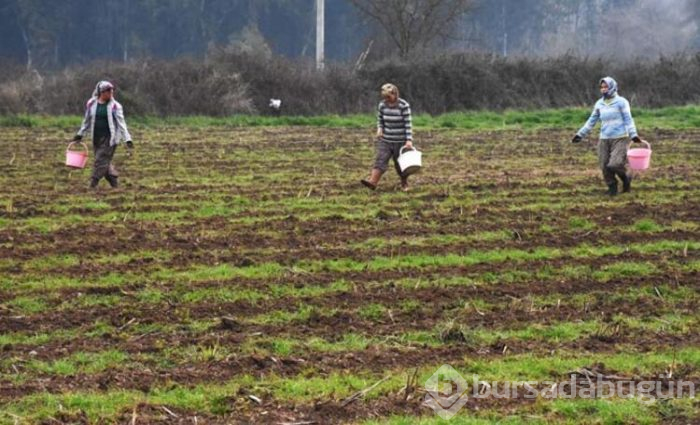 Üst düzey yöneticilik kariyerini bırakıp bakın hangi işe başladı