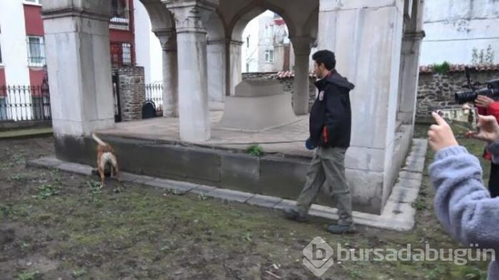 Bursa'da şafak operasyonu! Uyuşturucuyu türbenin içine zulalamış