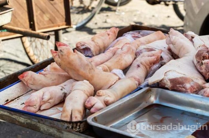 Çin'de köpek eti yiyin çağrısı!