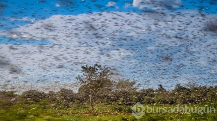 Dünyada bugün neler oldu? 