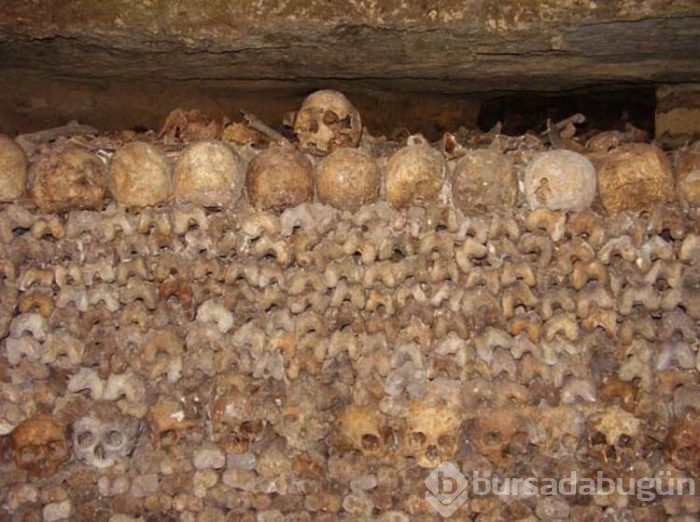 Kimsenin görmeye cesaret edemediği yer: Catacombe
