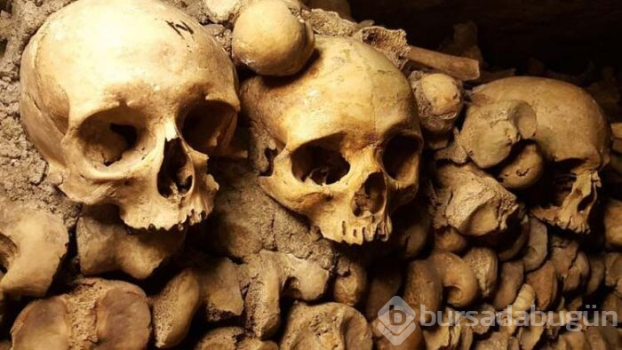 Kimsenin görmeye cesaret edemediği yer: Catacombe