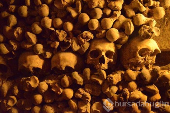 Kimsenin görmeye cesaret edemediği yer: Catacombe