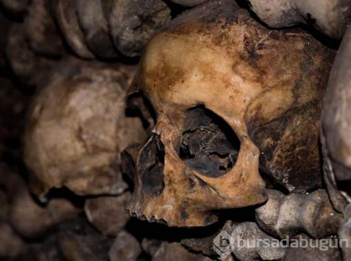 Kimsenin görmeye cesaret edemediği yer: Catacombe