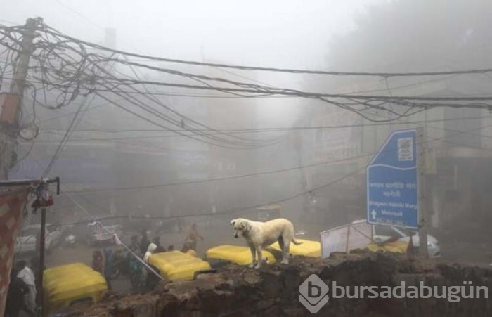 Hindistan'da hava kirliliği korkunç boyutlarda!
