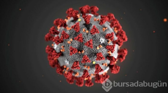 Corona virüsü Türkiye vaka sayısı