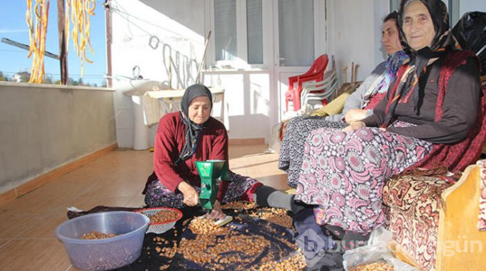 En uzun ömürlü insanlarının yaşadığı ilçe!