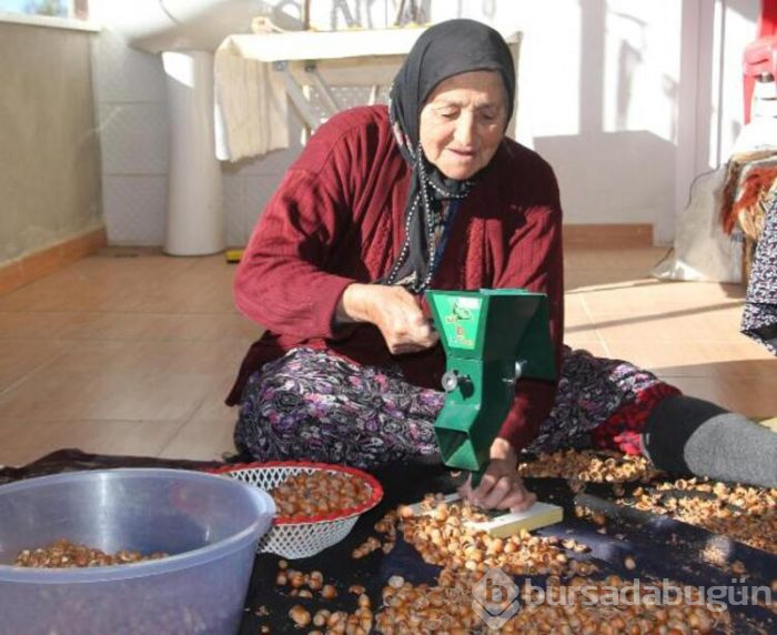 En uzun ömürlü insanlarının yaşadığı ilçe!