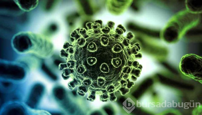 Corona virüs testi nasıl yapılır? 