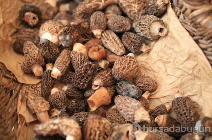 1 tanesi 1 kilogram ete eş değer!