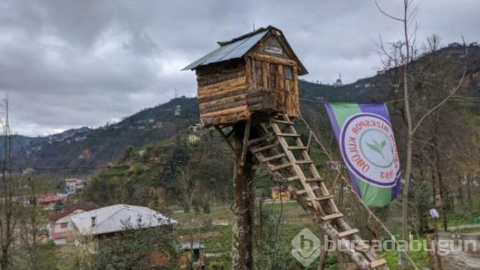 Rizeli genç, virüsten ağaç eve kaçtı