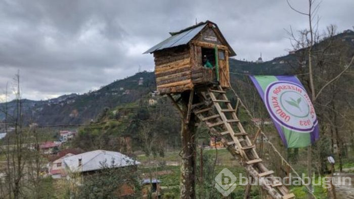 Rizeli genç, virüsten ağaç eve kaçtı