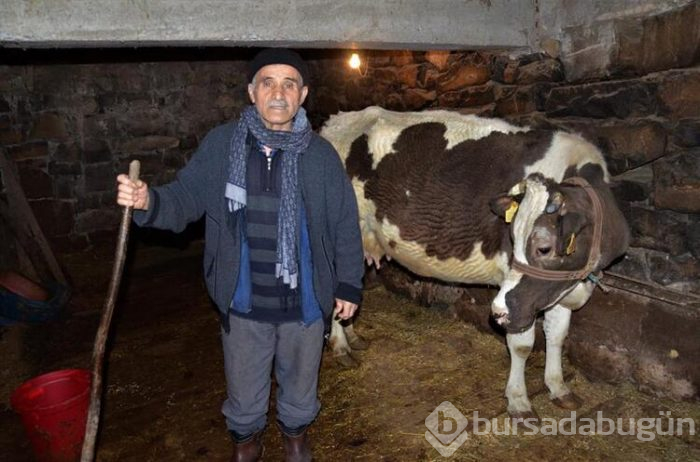 Gölköy'de koronadan korunma yöntemleri! 