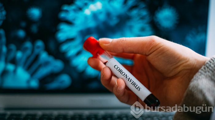 Koronavirüs neden yayıldı?