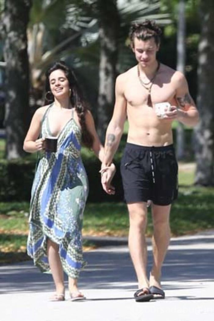 Camila Cabello ile Shawn Mendes'ten, karantinada aşk başkadır pozları