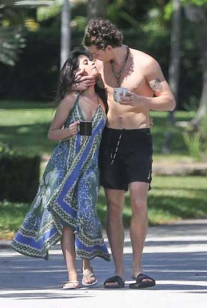 Camila Cabello ile Shawn Mendes'ten, karantinada aşk başkadır pozları