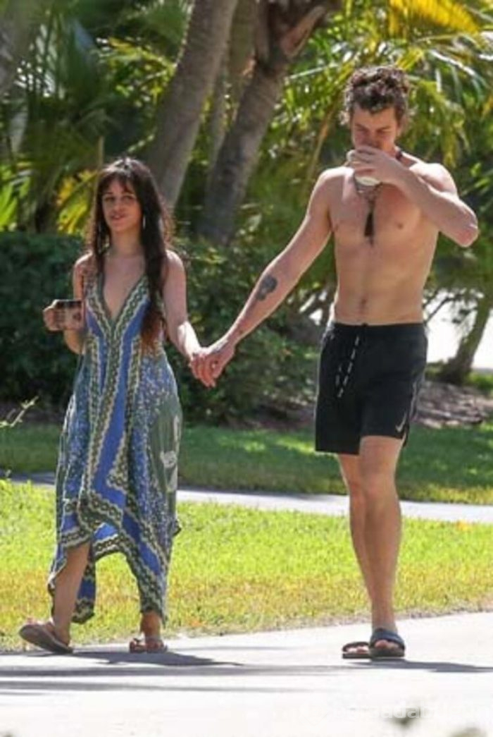 Camila Cabello ile Shawn Mendes'ten, karantinada aşk başkadır pozları