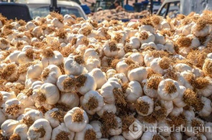 Sarımsağa virüs etkisi; fiyatlar yüzde 100 arttı