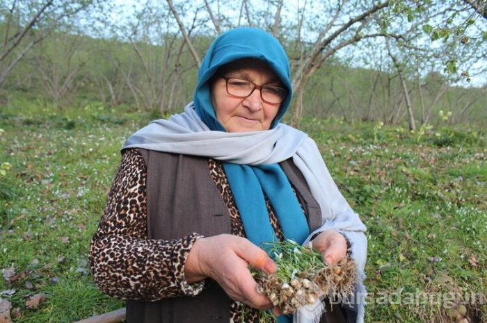 Yılda 2 ay yetişiyor, tezgahları ve sofraları süslüyor