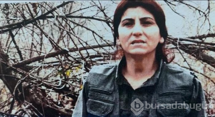 PKK'nın sözde üst düzey ismi etkisiz hale getirildi!