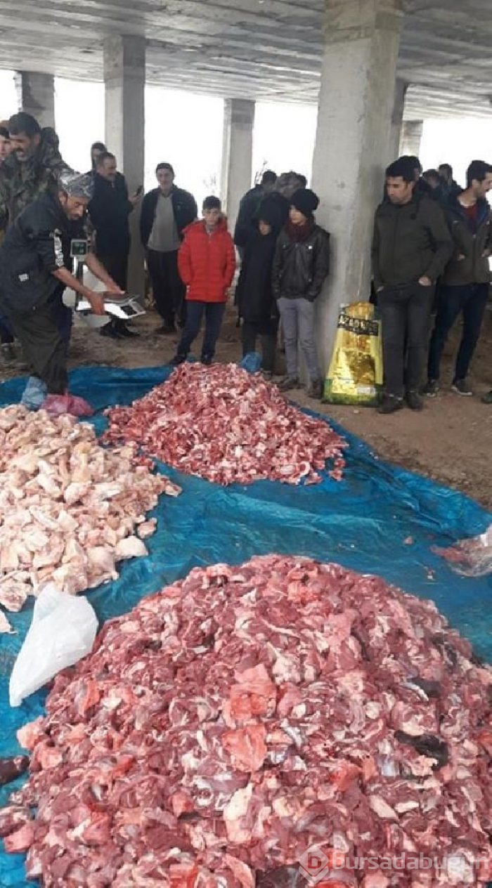 Korona virüsün bitmesi için kurban kestiler! 