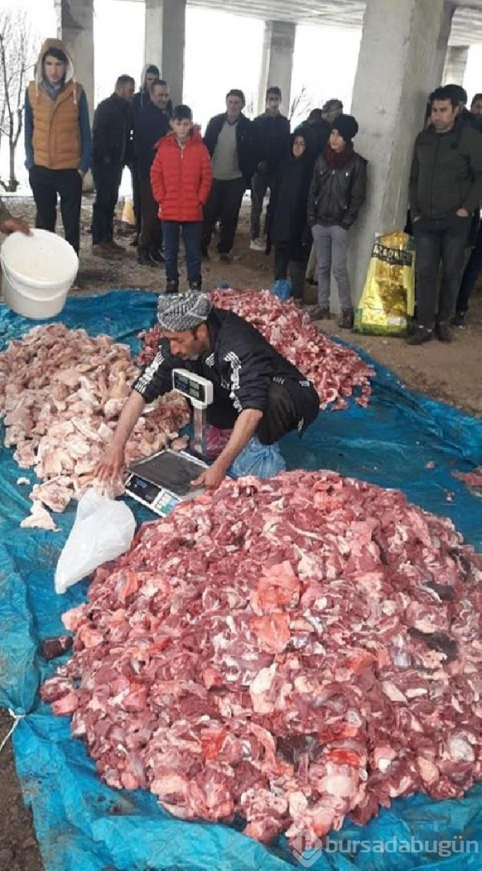 Korona virüsün bitmesi için kurban kestiler! 